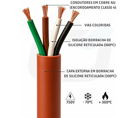 Imagem principal