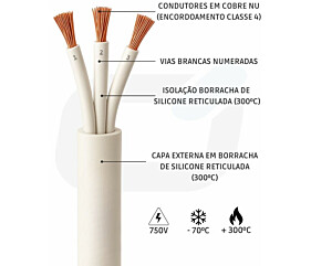 Imagem principal