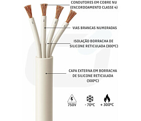 Imagem principal