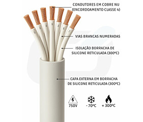 Imagem principal
