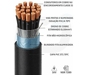 Imagem principal